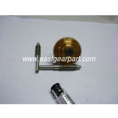 China Machining fiber Helical Worm Gear for New Design supplier