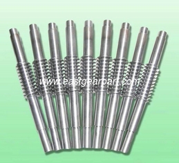 China Stainless/Mild/Carbon Steel Worm Gear for Industry supplier