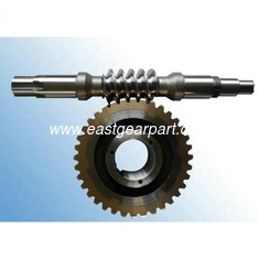 China Electric Motor Worm Gear with Standard Module supplier