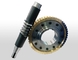 Worms, Worm Gears and Worm Gear Sets supplier