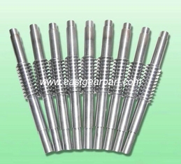 China Stainless/Mild/Carbon Steel Worm Gear for Industry supplier